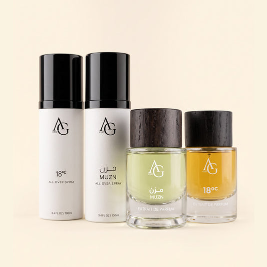 WINTER COLLECTION - Extrait